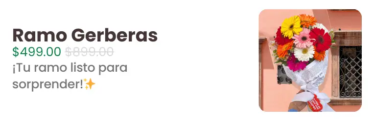 Ramo Gerberas